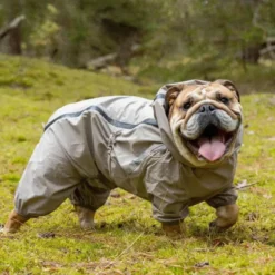 Ollipet Poncho Regndragt | Khaki