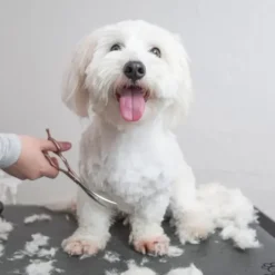 Ollipet Rosella Buet Groomingsaks no.3 | 6,5