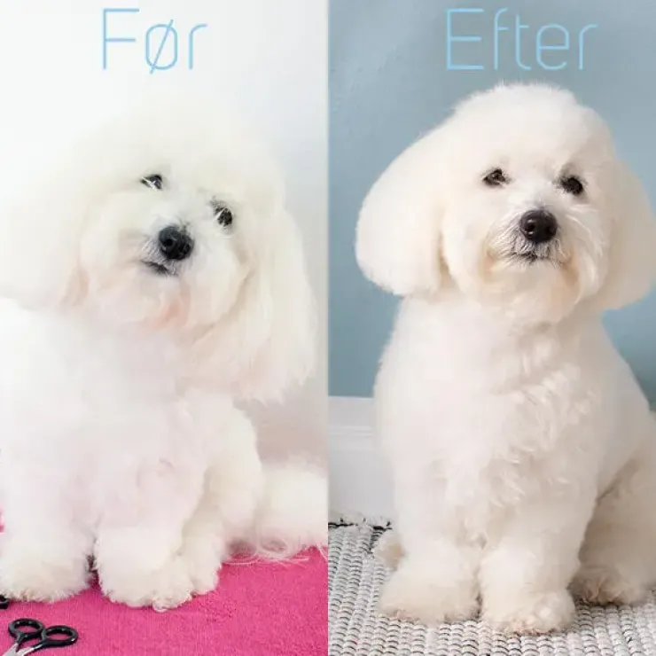 Ollipet Rosella groomingsaks no.1 | 6,5"