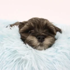 Ollipet Soft Cloud Donut Hvalpeseng