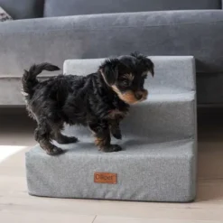 Ollipet Up Stairs | Hundetrappe