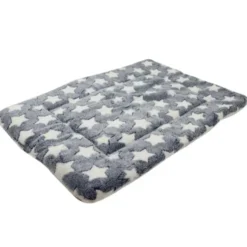 Ollipet Wellness Madras