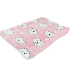 Ollipet Wellness Madras