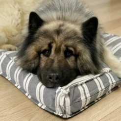Ozami stribet Hundemadras
