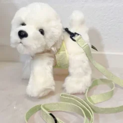 Pakketilbud | Ollie m. Sele og Hundesnor