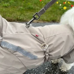 Pakketilbud | Ollipet Poncho m. snor