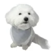 Pakketilbud | Ollipet shoppingnet og bandana m. striber