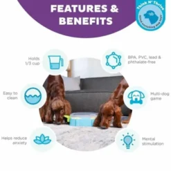 Paw N' Play Aktivitetsspil
