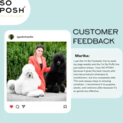 So Posh Professional I'm So Puffy Shampoo