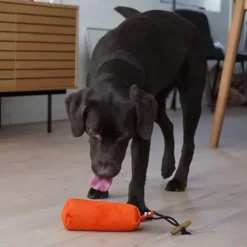 Standard Dummy