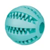 Trixie Mintfresh dental bold