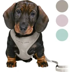 Trixie Puppy Dog hvalpesele og line