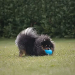 Trixie Roly Poly Snack æg
