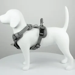 TrueLove Explosion Proof | LUKSUS Hundesele